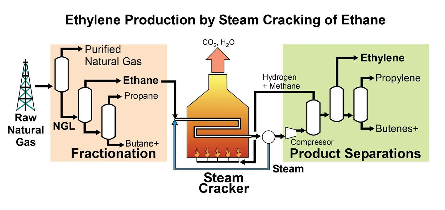 Comparison of naphtha versus ethane cracking yields and products